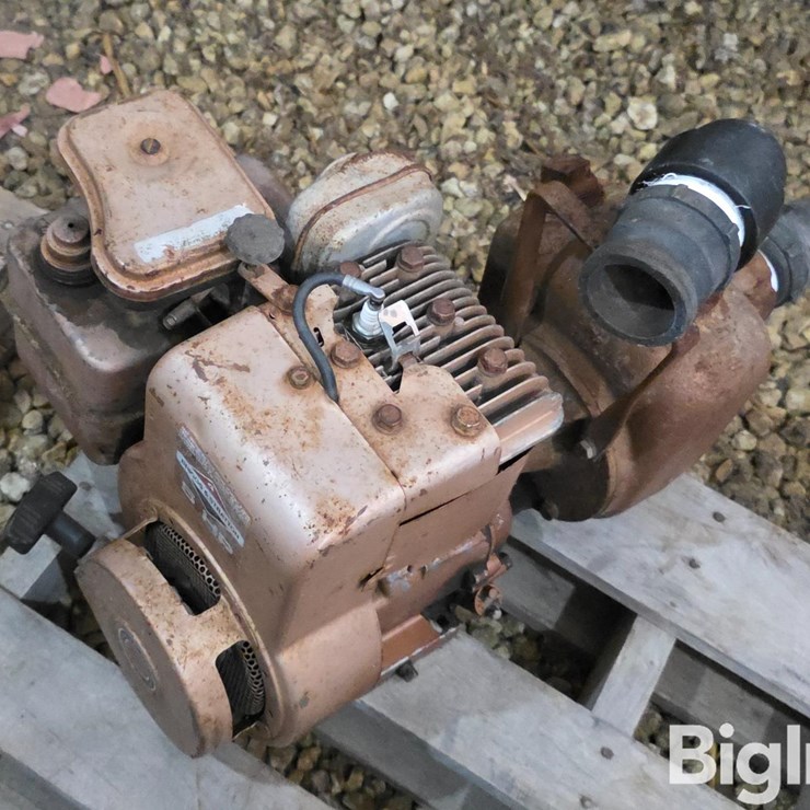 Briggs & Stratton 5 HP Gas Pump