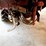 troy-garden-tiller-image-7