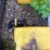 john-deere-tractor-spray-tanks-image-3