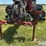 2011-case-ih-1250-image-9