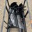 mower-king-ss-auger-w/-(3)-bits-image-3