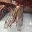 case-ih-1083-image-2
