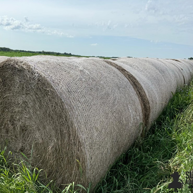 2024 Mixed Grass Hay Round Bales (BID PER UNIT)