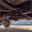 1999-kenworth-w900-image-61