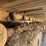 2015-caterpillar-305e2-cr-image-15