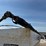 willmar-600-image-23