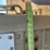 1989-timpte-42'-x-96"-image-23
