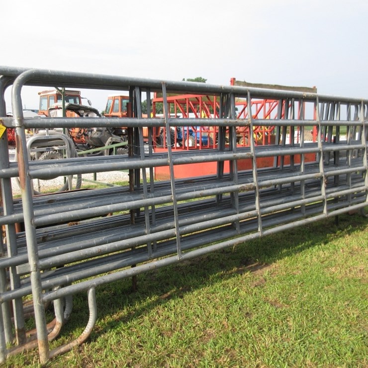 (4) HD 16' Pipe Gates