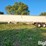 2005-timpte-super-hopper-40'-t/a-grain-trailer-image-8
