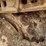 1984-caterpillar-d6d-image-32
