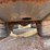 2017-wacker-neuson-wl60t-image-30