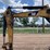 caterpillar-303.5c-cr-image-20