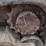 2019-takeuchi-tl6r-image-20