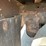 #2101-•-1996-kidron-reefer-trailer-image-27