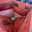 m&w-little-red-wagon-image-5