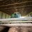 john-deere-6620-image-7