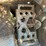 bobcat-t250-image-52