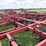 case-ih-4700-image-11