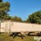 2005-timpte-super-hopper-40'-t/a-grain-trailer-image-1