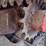 takeuchi-tl230-image-21