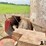 international-1250-image-13