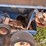 dry-spreader-(gp11010)-image-15