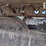 caterpillar-312-image-40