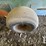 balzer-3350-magnum-image-8