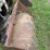 bobcat-753-image-18