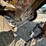 broce-rc350-image-21