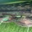 2021-john-deere-c-500-mower-conditioner-image-15