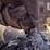 2005-komatsu-d65ex-15-image-34