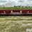 2010-case-ih-3408-image-6