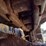 2004-caterpillar-d5g-xl-image-37