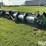 2016-drago-gt-12-30-corn-head-image-5