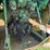 1975-john-deere-4430-image-15