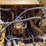 2013-caterpillar-329el-image-48