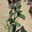john-deere-2-image-5