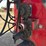 wheatheart-sa1381-image-8