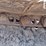 2012-caterpillar-336el-image-37