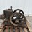 sattley-image-2