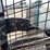 new-holland-l215-image-24