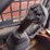 2019-kubota-ssv65-image-9