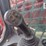 2019-takeuchi-tl6r-image-10