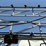 wylie-1200-image-8