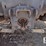 massey-ferguson-2615-image-23