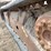 2014-bobcat-t590-image-23