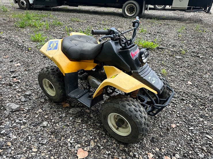 zebra-international-youth-atv-image-2