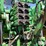 1998-john-deere-9300-image-12