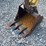 yanmar-v10-image-5
